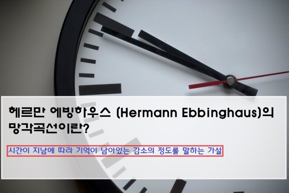 스피드TC학원 수학 시스템 자료
