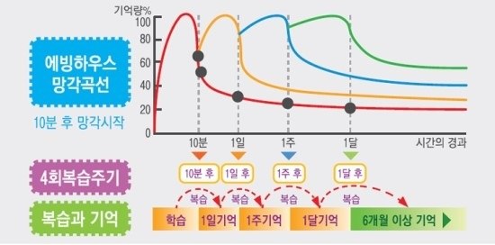 에빙하우스 망각곡선 — 10시간 후 망각 시작